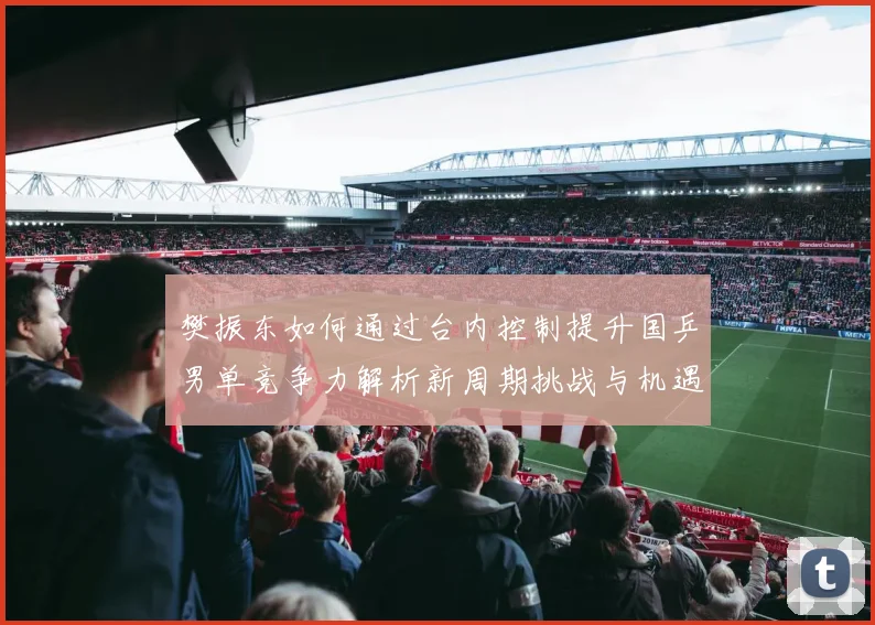 樊振东如何通过台内控制提升国乒男单竞争力解析新周期挑战与机遇