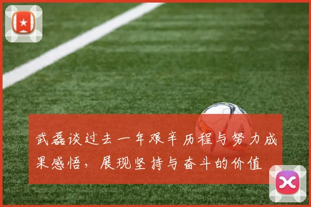 武磊谈过去一年艰辛历程与努力成果感悟，展现坚持与奋斗的价值
